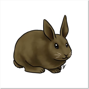 Small Mammal - Rabbit - Brown Netherland Dwarf Posters and Art